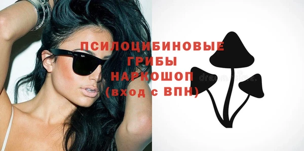 хмурый Богородицк