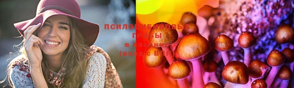 мяу мяу кристалл Богданович