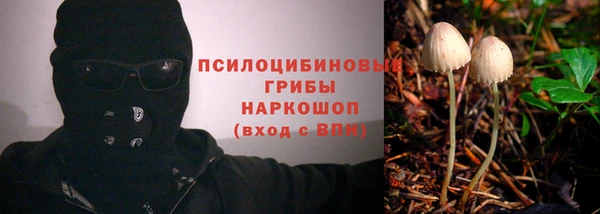 мяу мяу кристалл Богданович