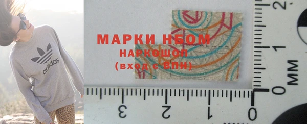 хмурый Богородицк