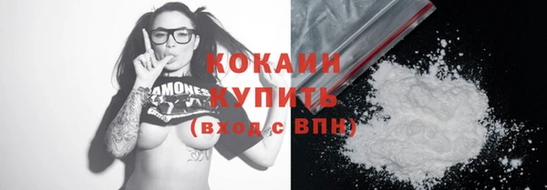 хмурый Богородицк