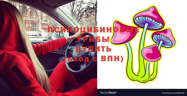 мяу мяу кристалл Богданович