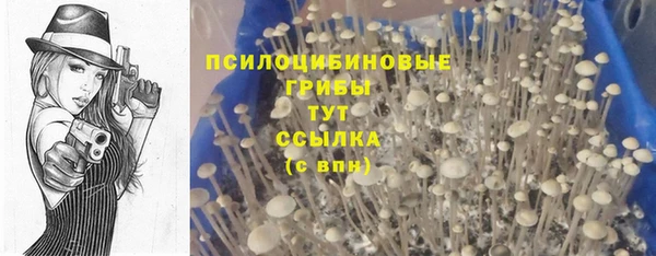 герыч Богородск