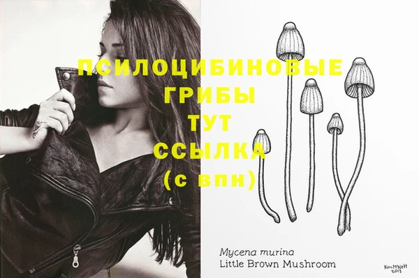 мяу мяу кристалл Богданович