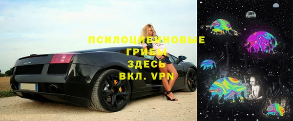мяу мяу кристалл Богданович