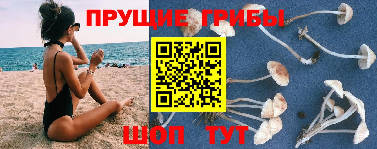 где продают наркотики  Галлюциногенные грибы GOLDEN TEACHER  Галлюциногенные грибы MAGIC MUSHROOMS  Вход с VPN  Реж 